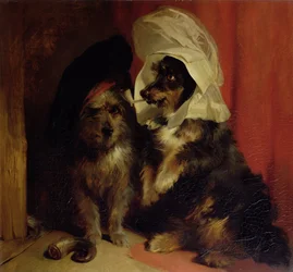 Komische Hunde, 1836